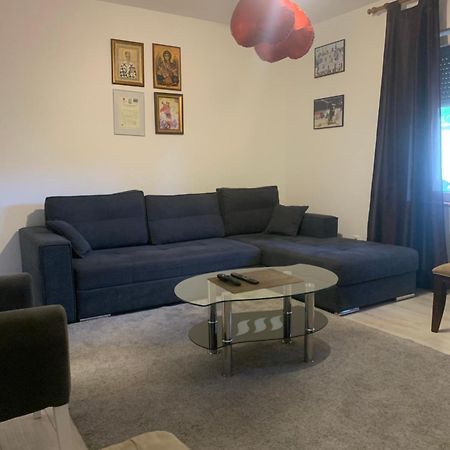 贝尔格莱德Mika'S Poolhouse别墅 外观 照片